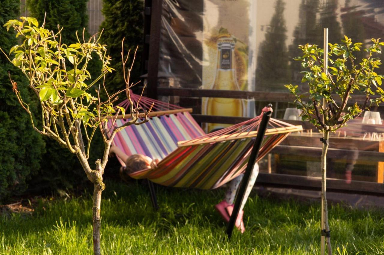 Pensiunea Casa Zece Guest house